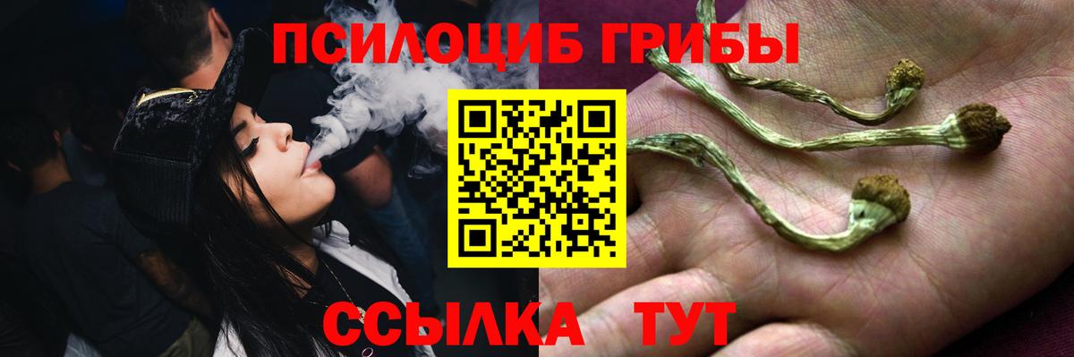 Псилоцибиновые грибы GOLDEN TEACHER  купить   Ивантеевка  Псилоцибиновые грибы Psilocybe  Вход с VPN 